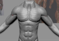 How to sculpt detailed muscles with Zbrush