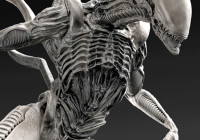 How to Sculpt a Alien In Zbrush