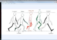 Common Mistakes When Animating Walk Cycles